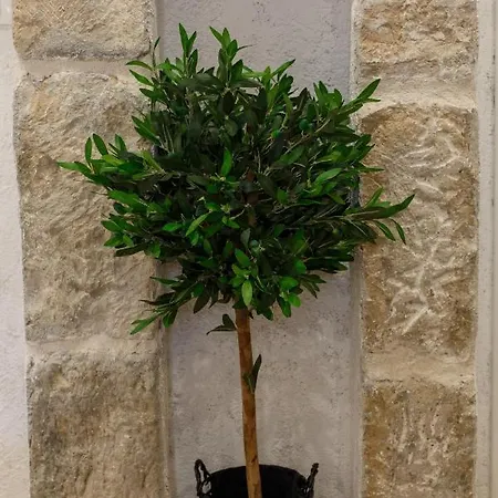Apartmán Stara Kala Varos Split